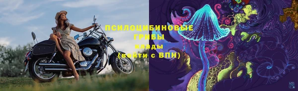 mix Бородино