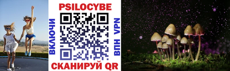 купить   Набережные Челны  Галлюциногенные грибы Magic Shrooms 